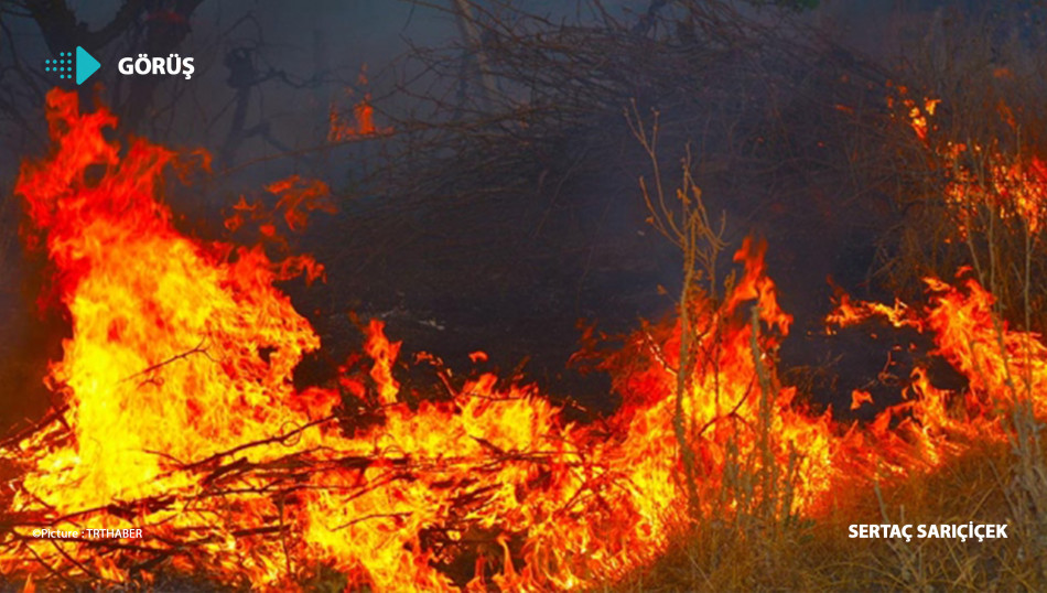 İran’da Artan Yangın Hadiseleri ve Ormanların Muhafazası