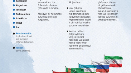 Afganistan Konulu Delhi Bölgesel Güvenlik Diyaloğu